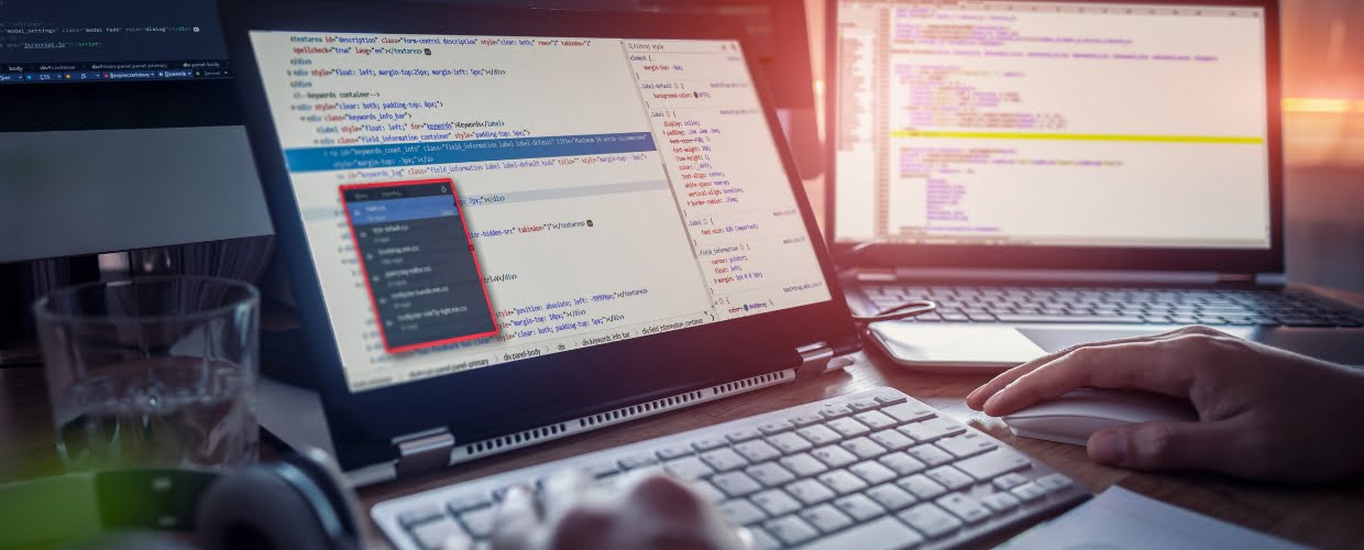Tips Mendeteksi Website Bug dan Memperbaikinya